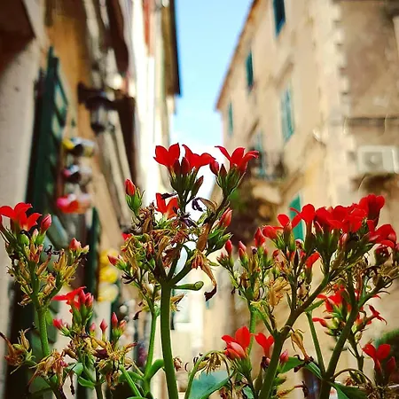 Kotor Bagus - Cozy Boutique Old Town Studio With Seaview Terrace Exterior photo